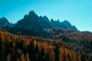 Moodboardy dla stylu mieszanki (eclectic): jak łączyć różne epoki i wzory