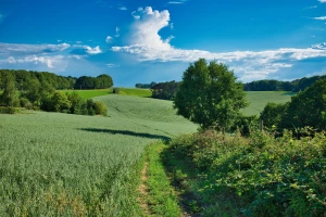 Ile kosztuje dobry materac sprężynowy? Przewodnik po cenach i budżetowych wyborach