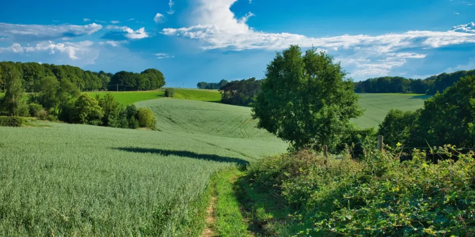 Ile kosztuje dobry materac sprężynowy? Przewodnik po cenach i budżetowych wyborach